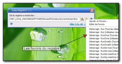 Easy Registre3.jpg